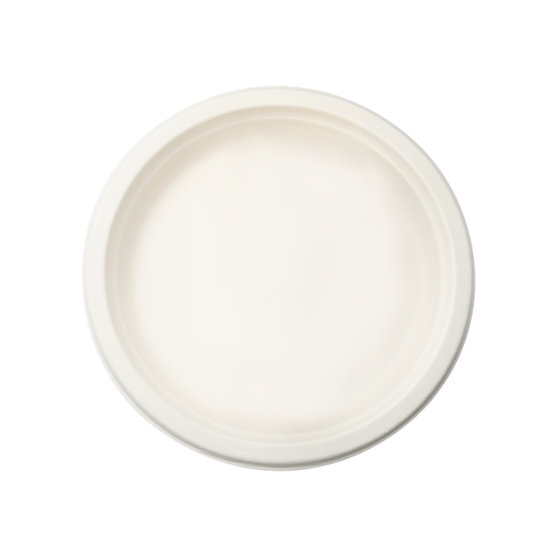 Piring Saji Oval Ramah Lingkungan