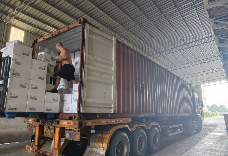Kosda Juni 2026 Ekspor Produk Kertas Dual-Container | Ningbo
